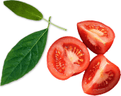tomato
